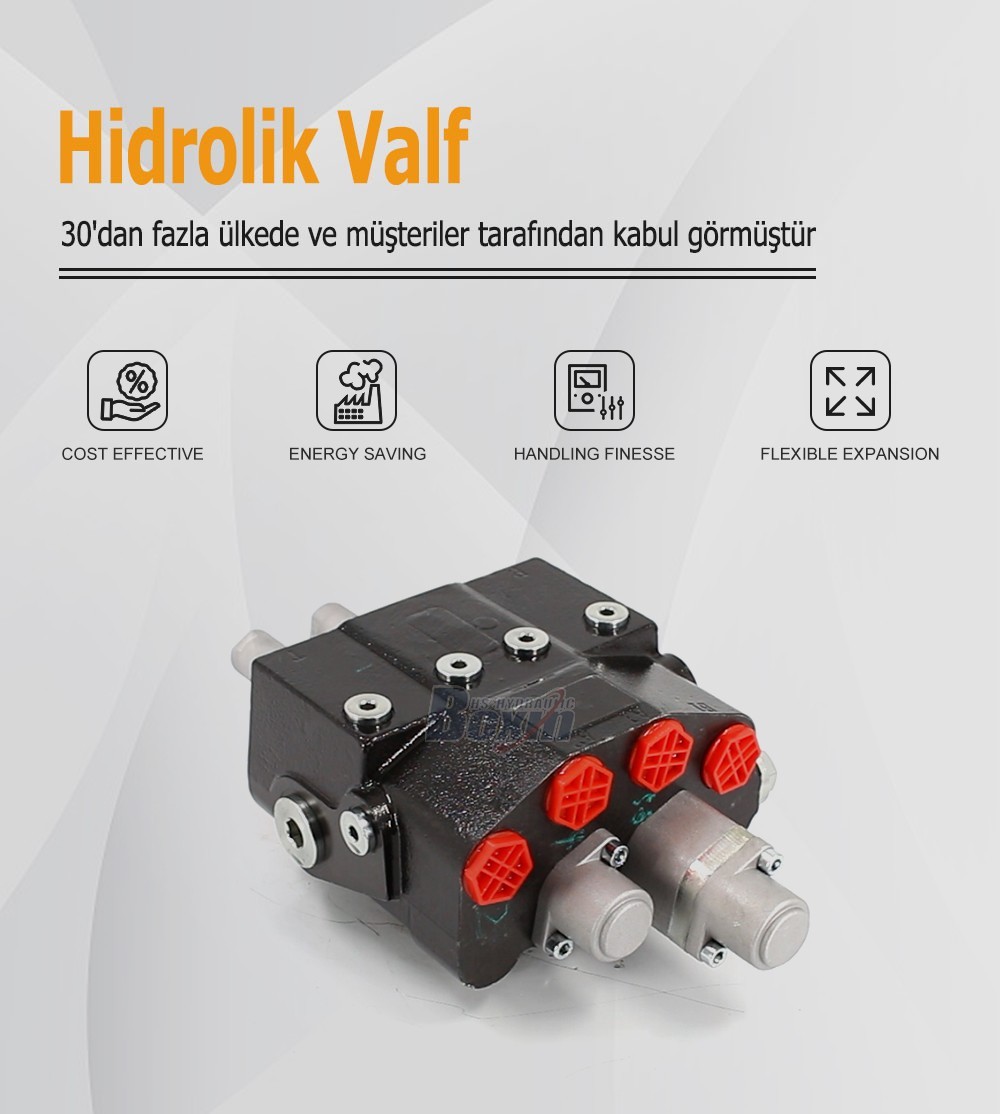 Mass Production of HSDM80-QTWDD-OTDD 2 Spool Directional Valves